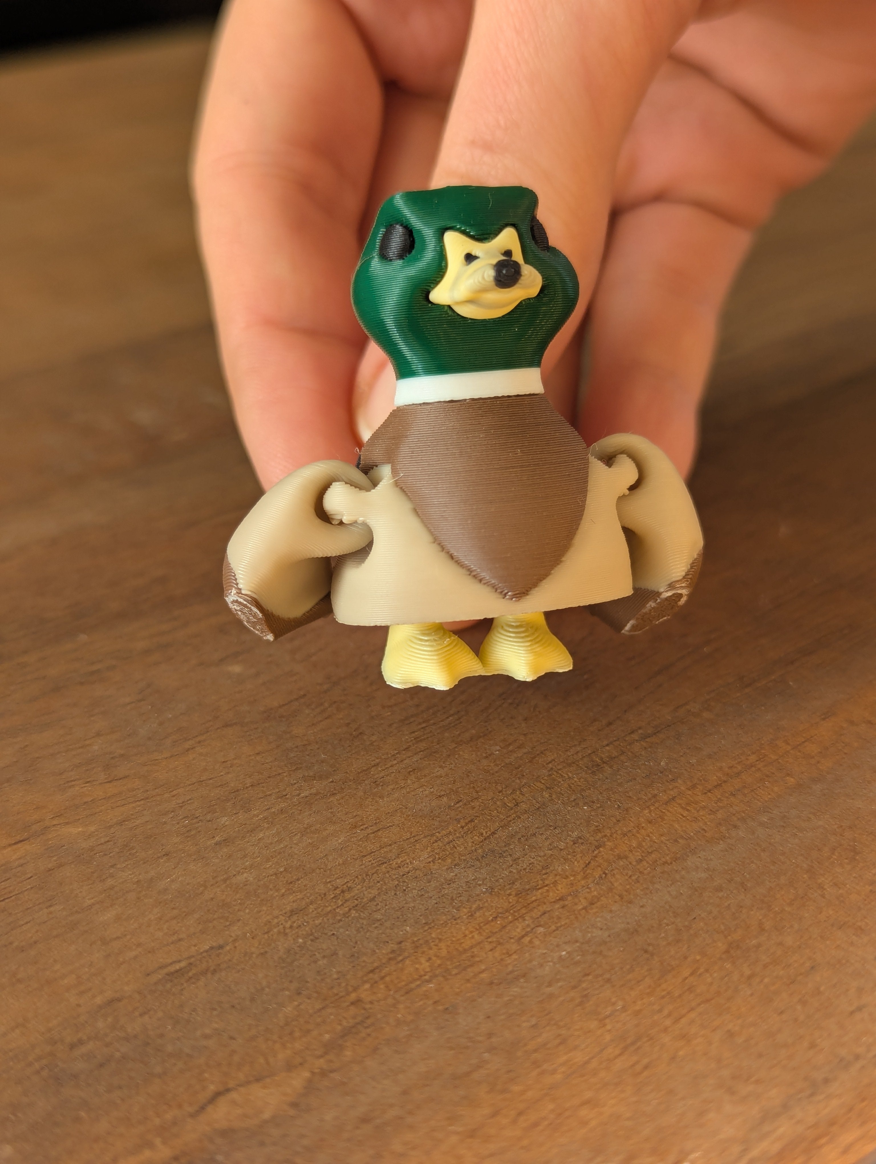 Malleable Mallard - Fidget Toy/Keychain