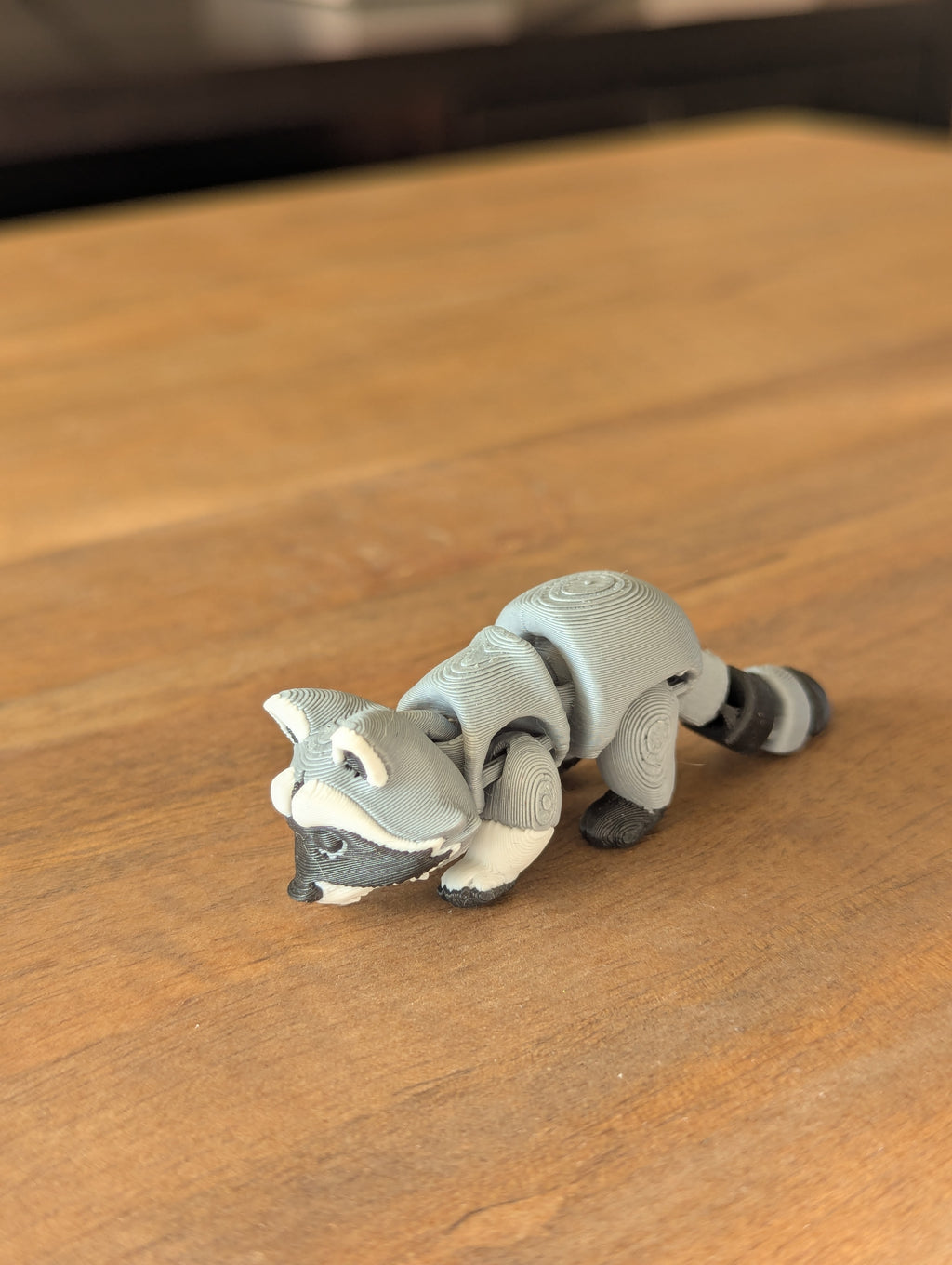 Riggly Raccoon - Fidget Toy/Keychain