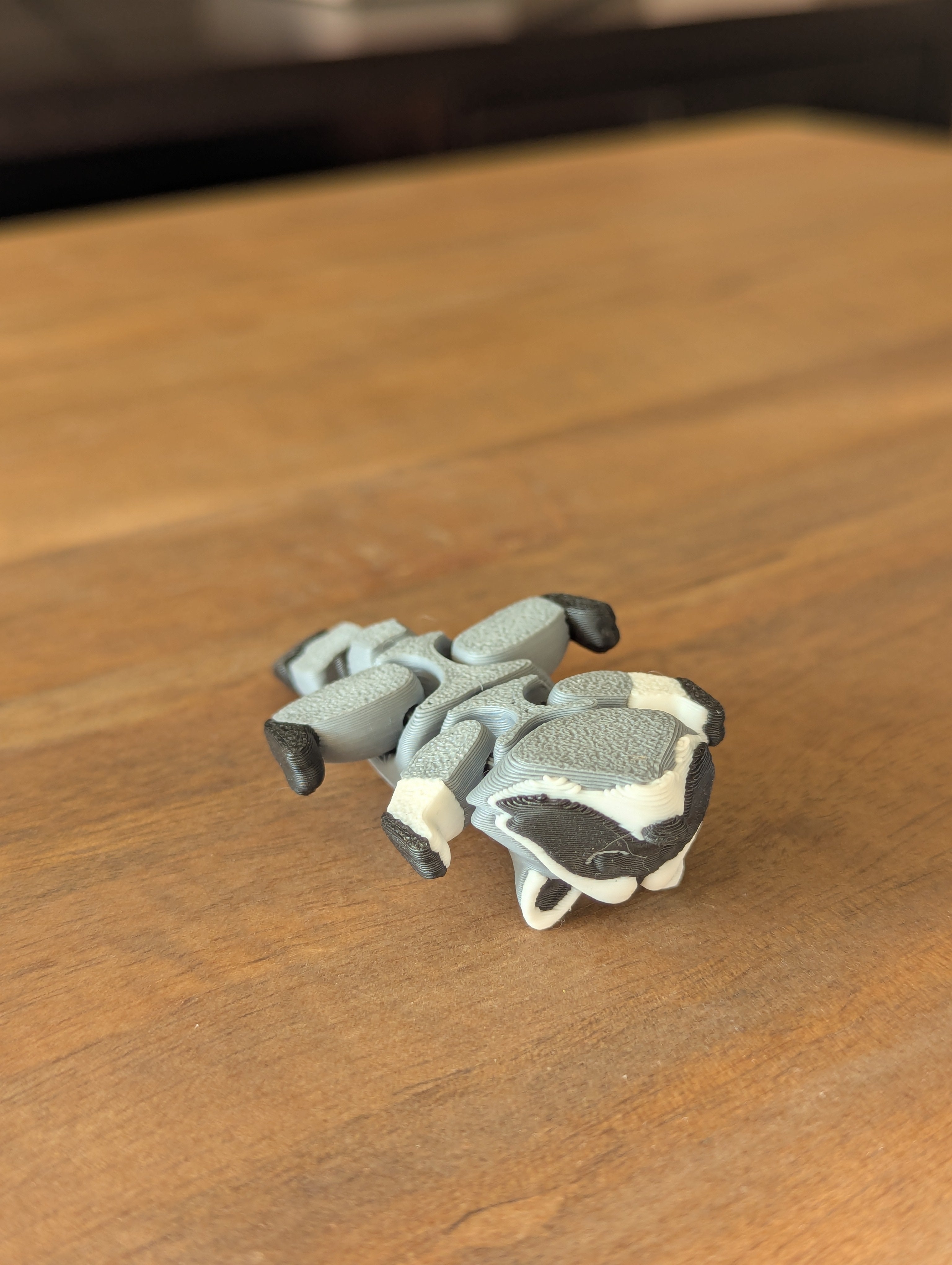 Riggly Raccoon - Fidget Toy/Keychain