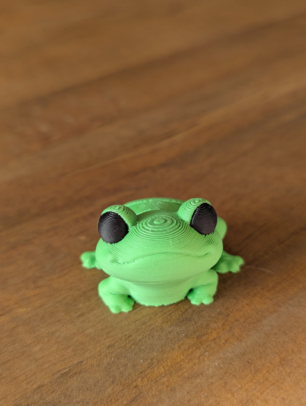 Fidget Frog - Fidget Toy