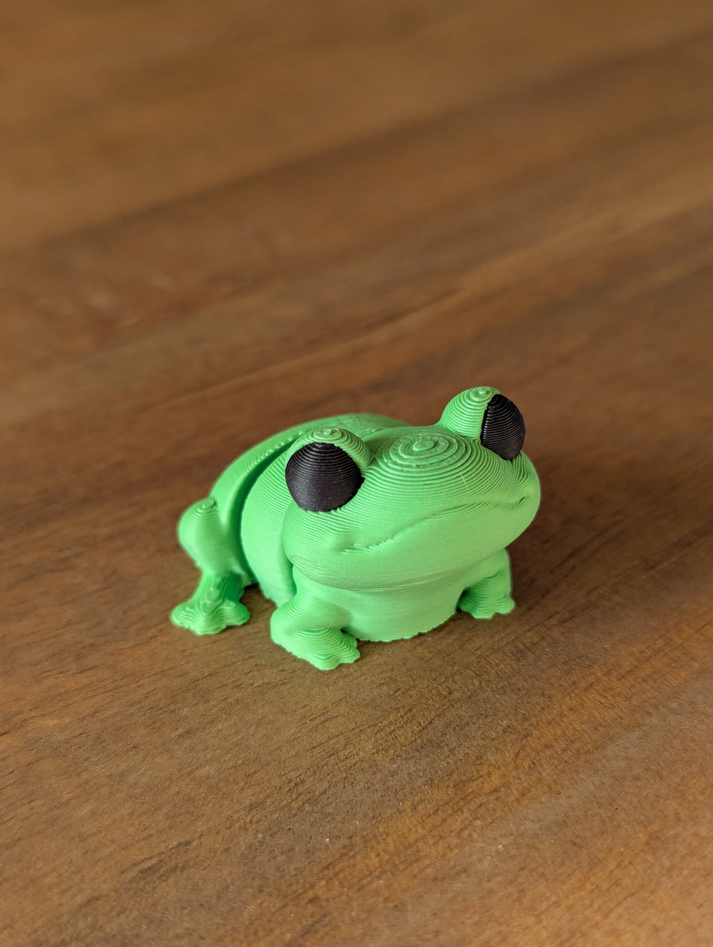 Fidget Frog - Fidget Toy