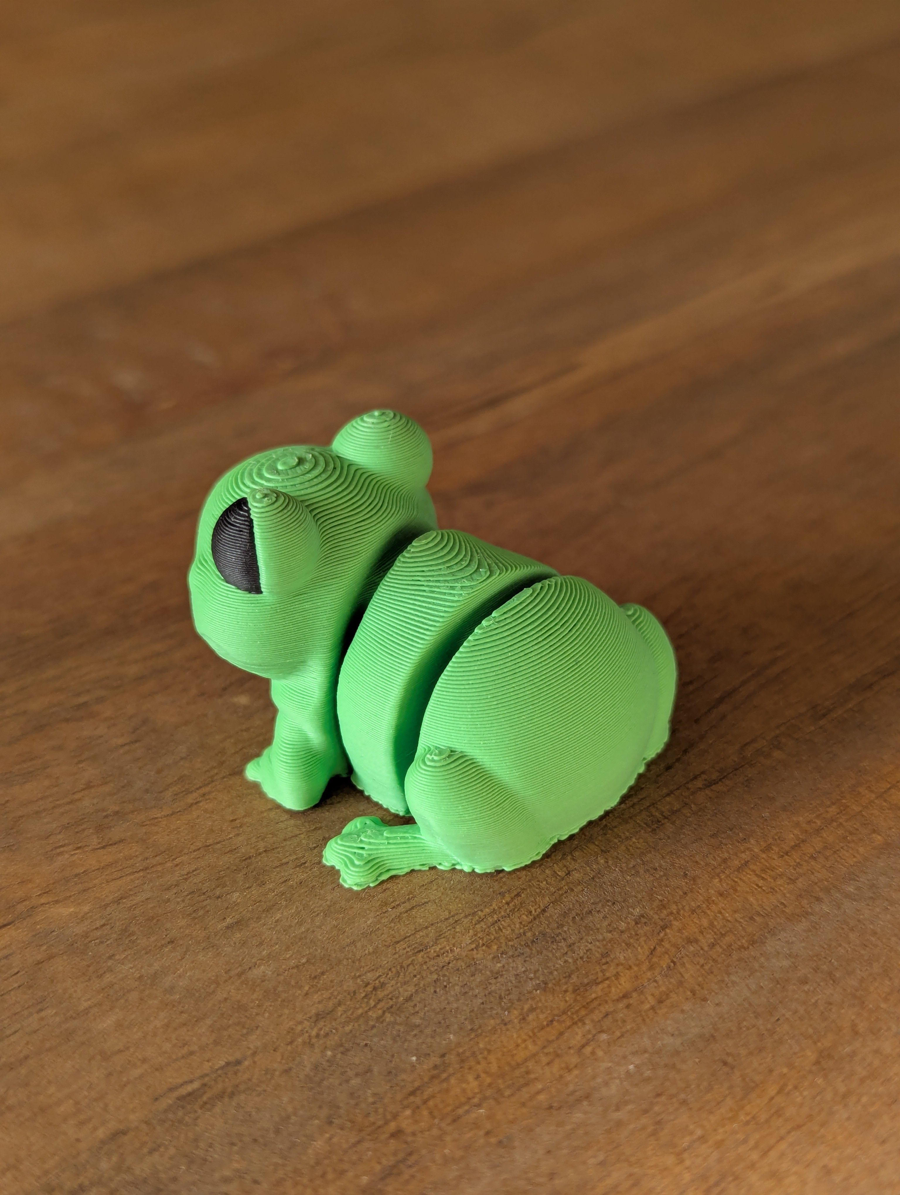 Fidget Frog - Fidget Toy