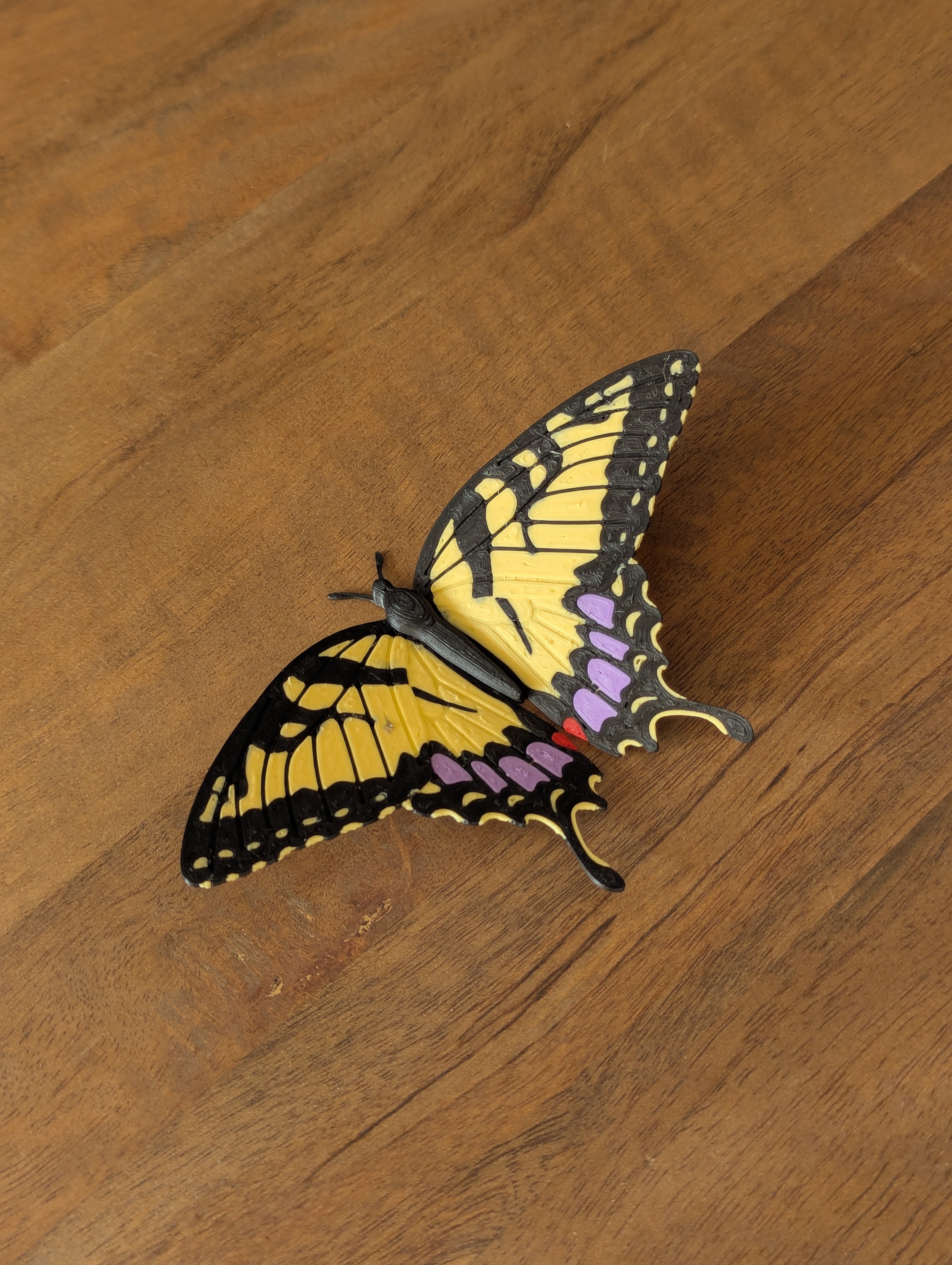 3-Pack Variety Butterfly - Magnets