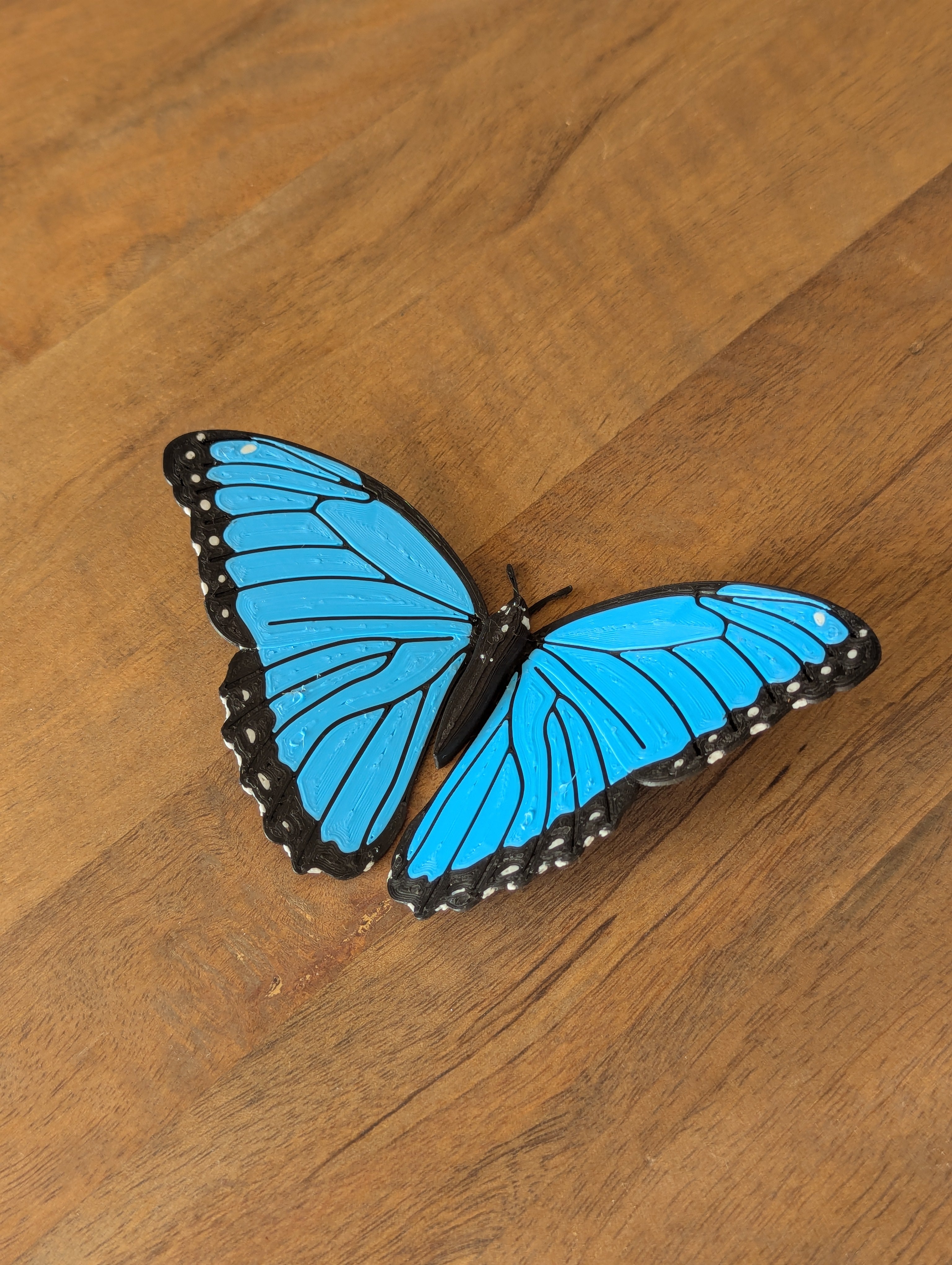 3-Pack Variety Butterfly - Magnets