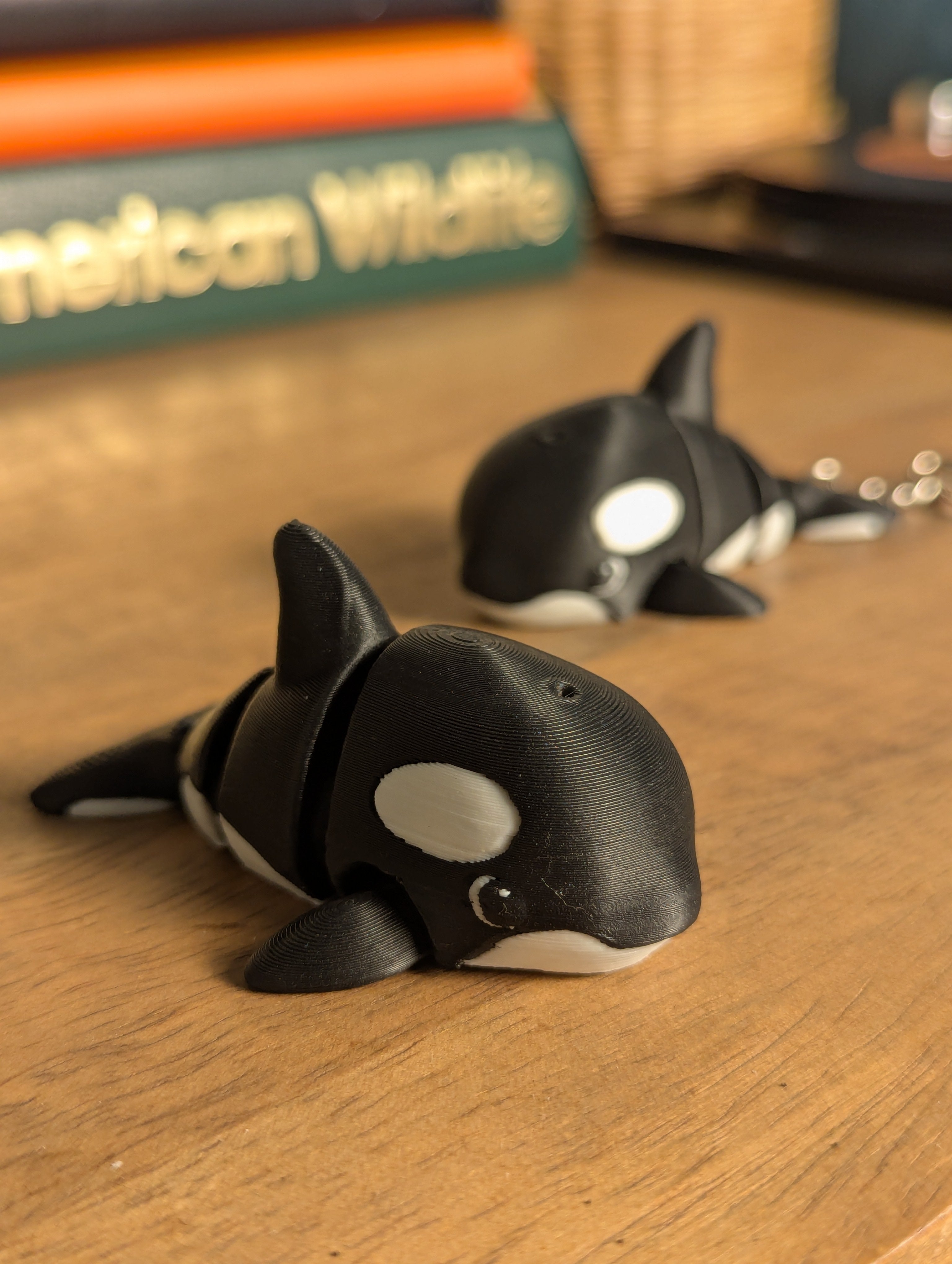 Outlaw Orca - Fidget Toy/Keychain