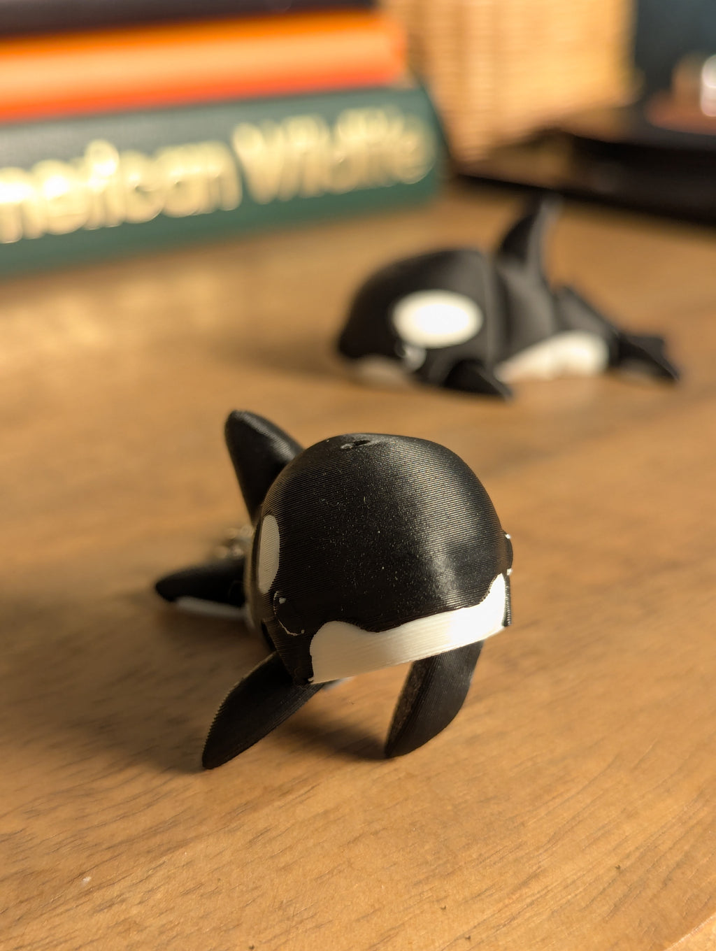 Outlaw Orca - Fidget Toy/Keychain
